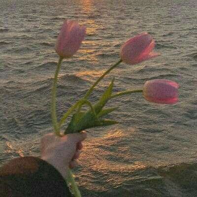 爱游戏官方下载手机版